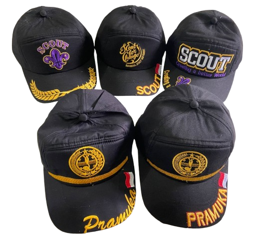 Kategori Topi